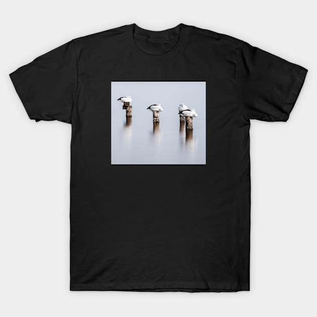 Stillness T-Shirt by paulmp